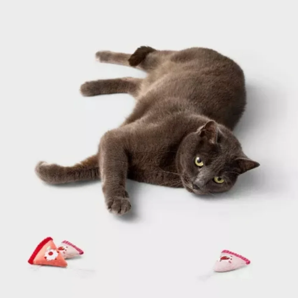 Cake Slices Cat Toy - Boots & Barkley™3ct
